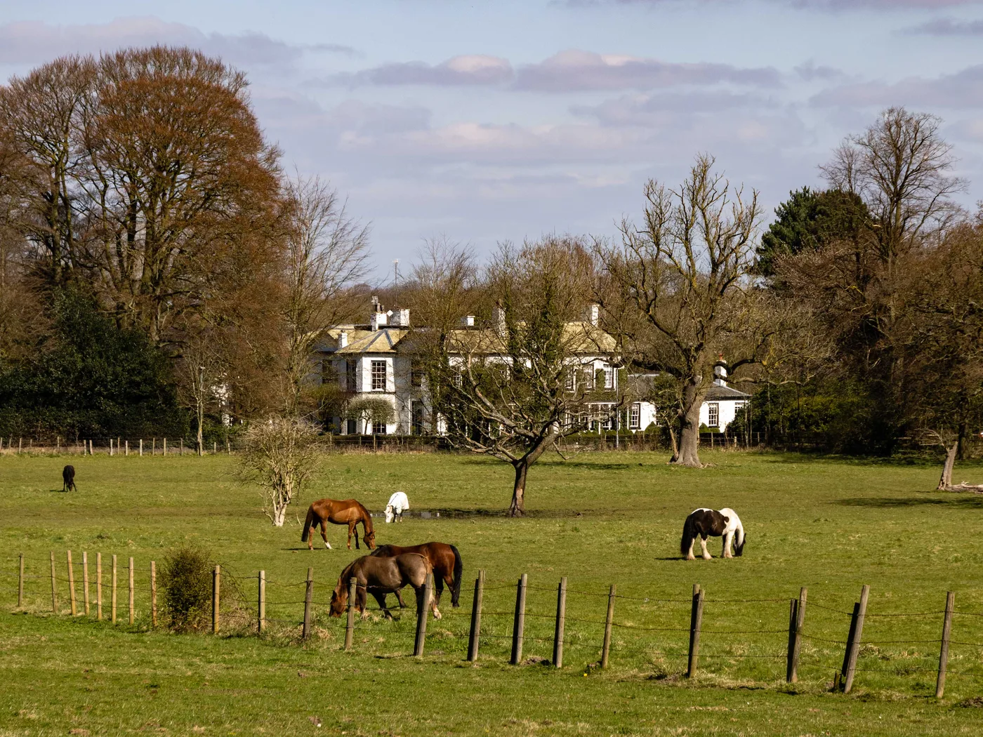 Statham Lodge Hotel on the edge of Lymm, seen across the fields