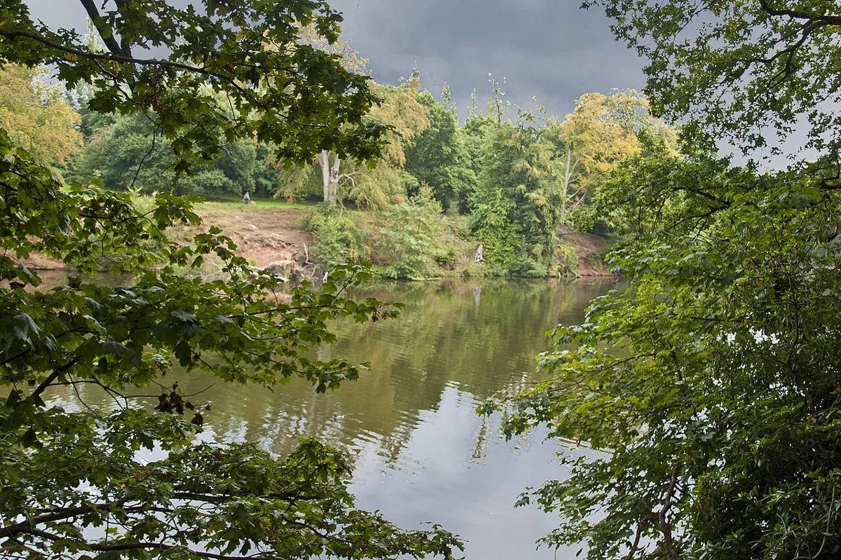 Lymm Dam seen through the trees on its woodland path