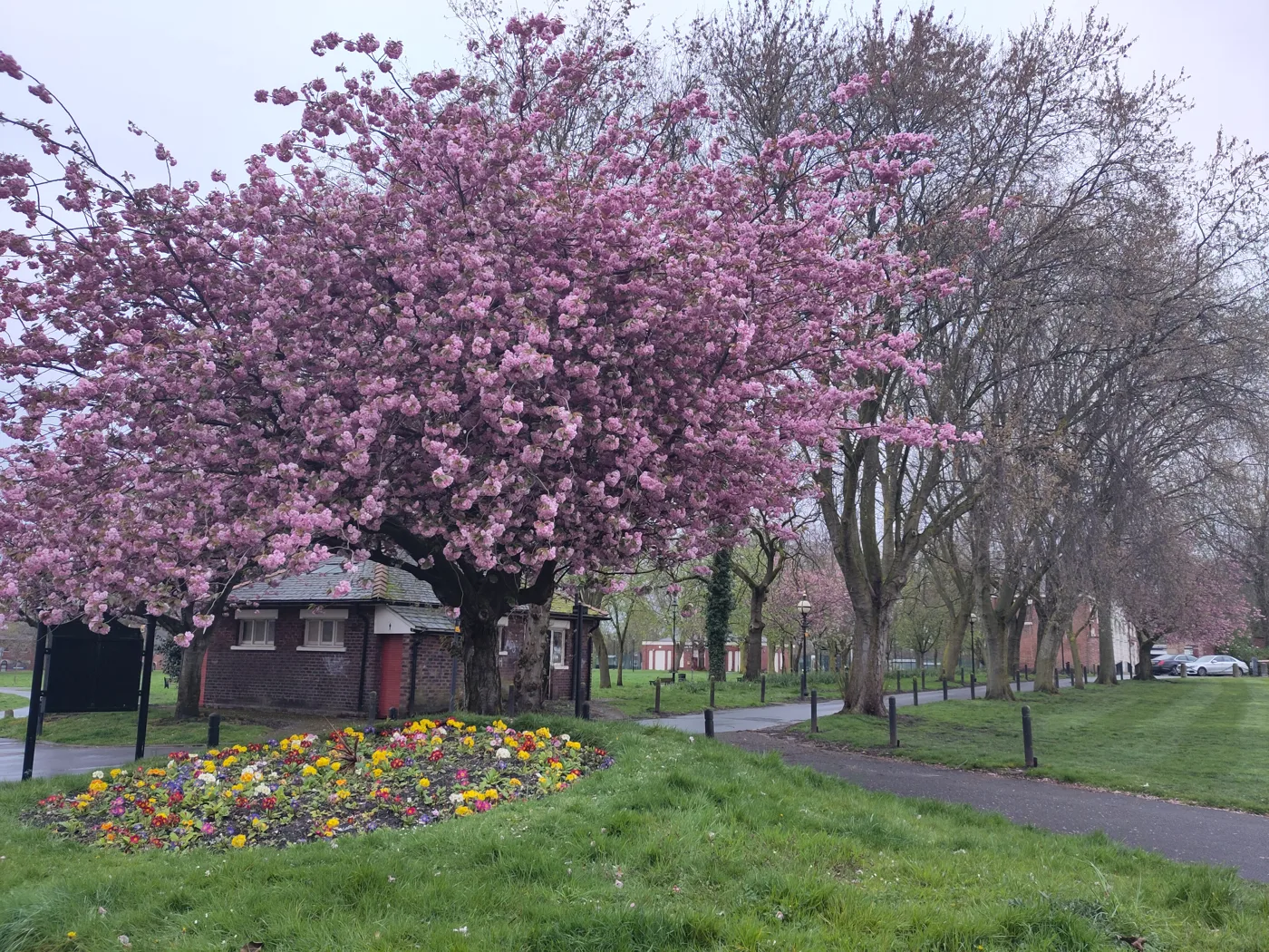 The lodge and avenue at Warrington Town Hall. This week's meetings are held at the council offices at 1 Time Square.